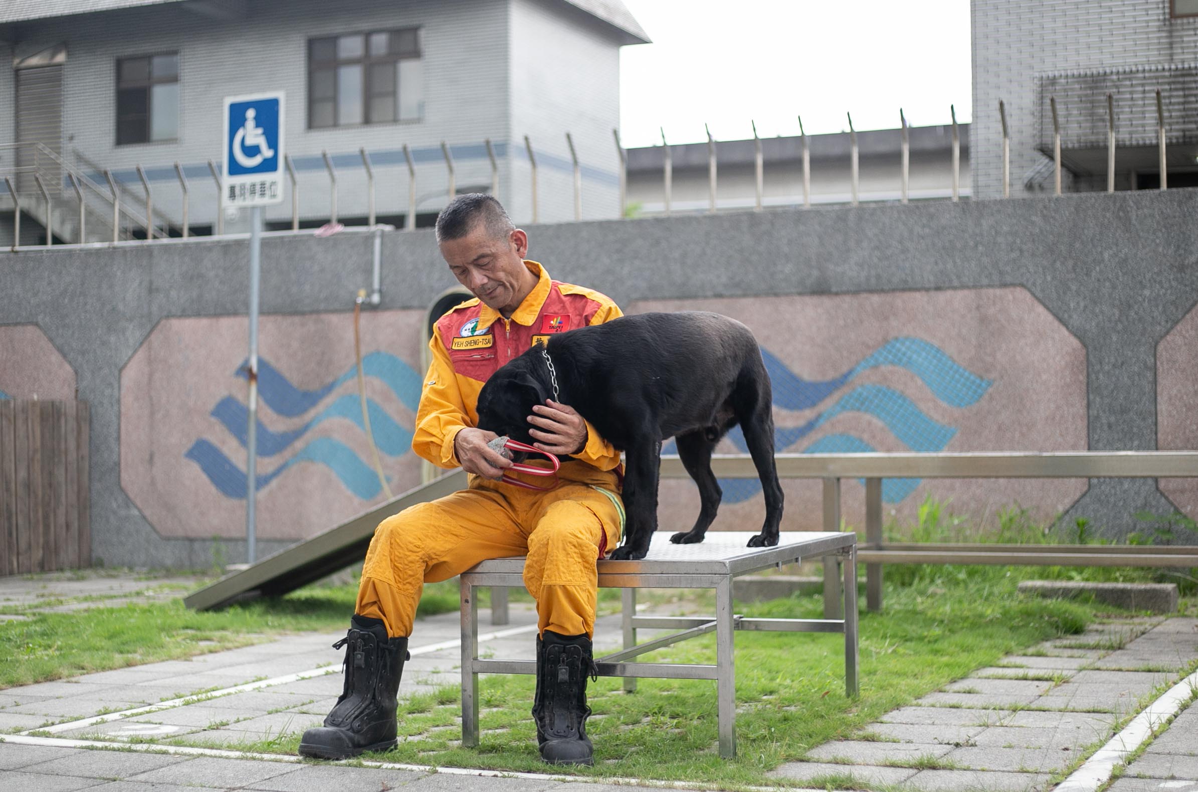 搜救犬隊9